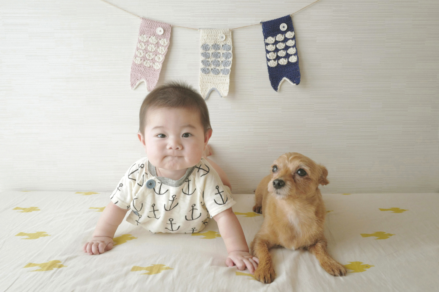 お宮参り、七五三、家族写真、明治神宮、寒川神社
