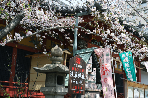 ボンジュールフォト